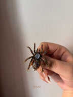 strass spider brooch
