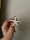white sea star brooch